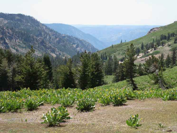 Horse Canyon branches off to the Northwest.